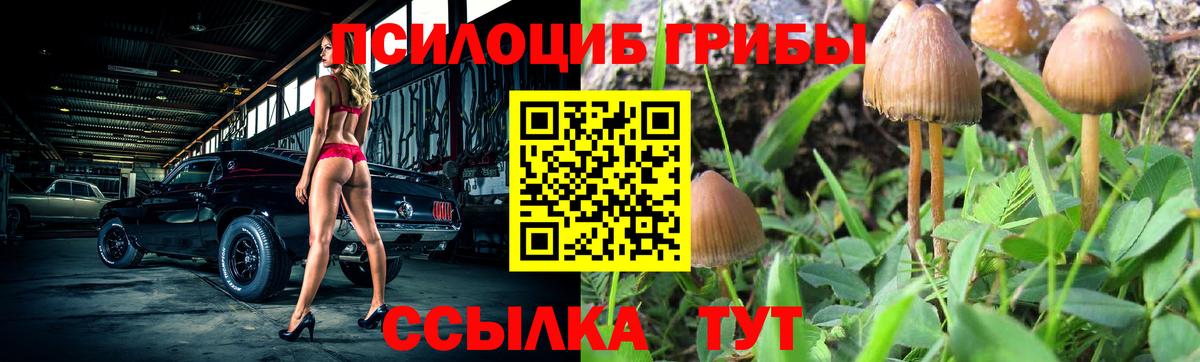 Кумертау  Галлюциногенные грибы Psilocybine cubensis  Вход с VPN  закладка  Галлюциногенные грибы Magic Shrooms 